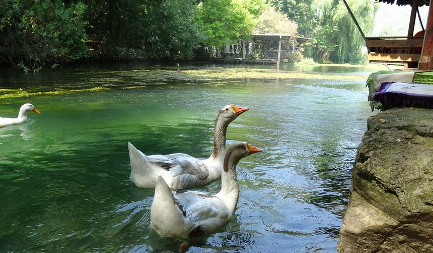 Akyaka'yı aratmayan Bucak Vadisi doğaseverlerin gözdesi