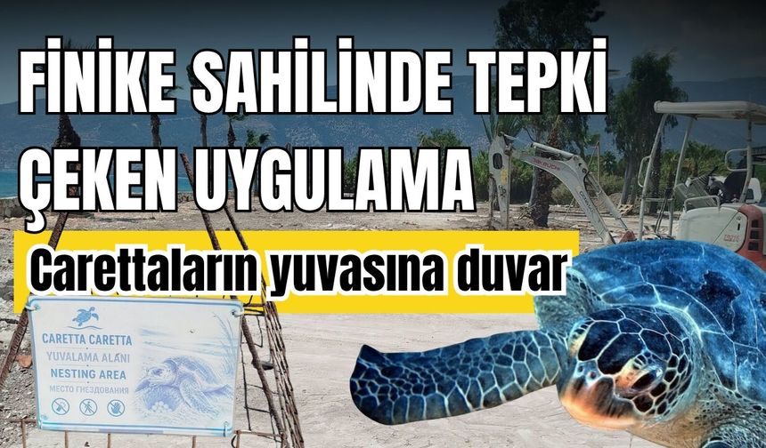 Finike Sahili’nde tepki çeken uygulama! Carettaların yuvasına duvar örüldü