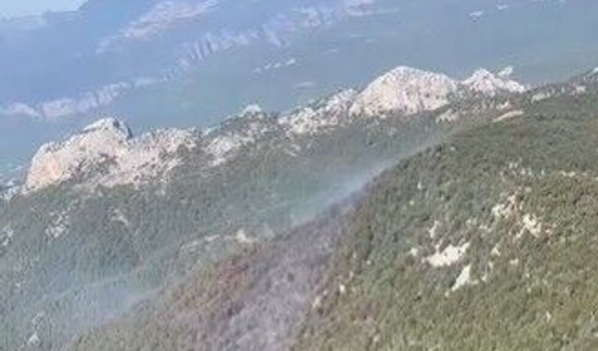 Manavgat'taki orman yangını kontrol altına alındı