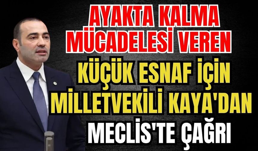 Ayakta kalma mücadelesi veren küçük esnaf için Milletvekili Kaya'dan Meclis'te çağrı