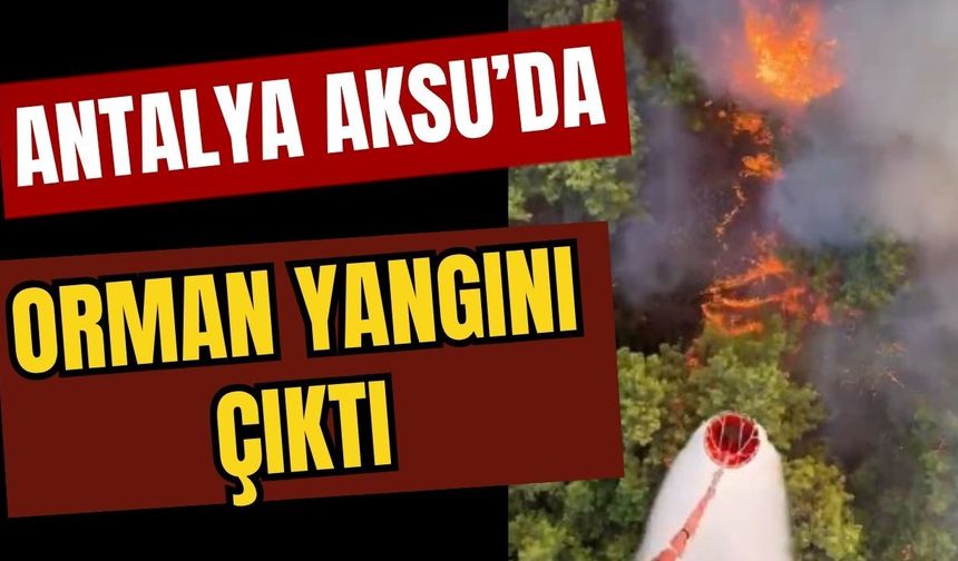Antalya Aksu’da orman yangını çıktı