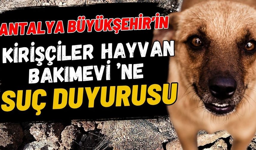Antalya Büyükşehir’in Kirişçiler Hayvan Bakımevi ’ne suç duyurusu