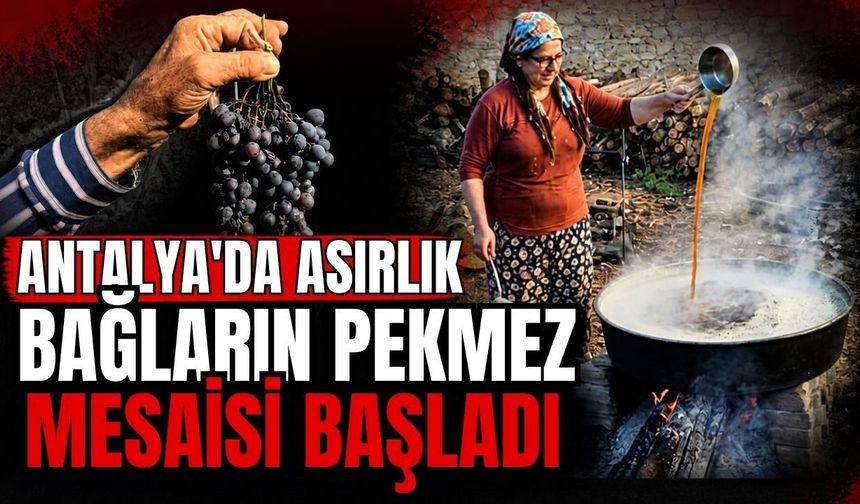 Antalya’da asırlık bağların pekmez mesaisi başladı