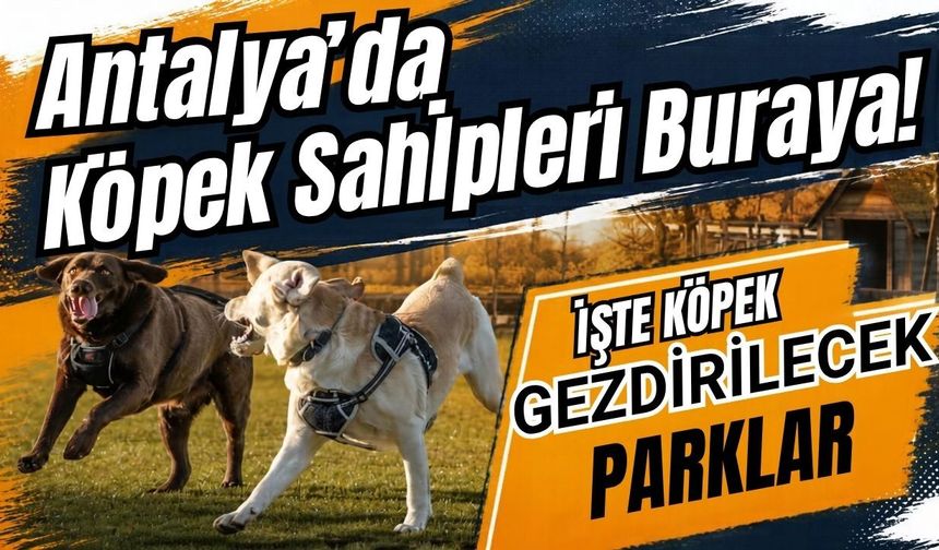 Antalya’da köpek sahipleri buraya! İşte köpek gezdirilecek parklar