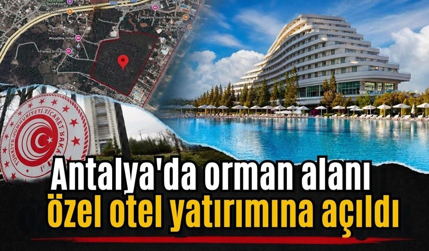 Antalya’da orman alanı özel otel yatırımına açıldı