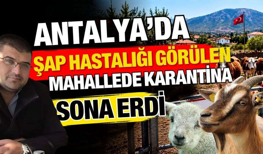 Antalya’da ŞAP hastalığı görülen mahallede karantina sona erdi