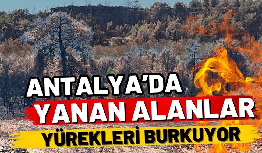 Antalya’da yanan alanlar yürekleri burkuyor