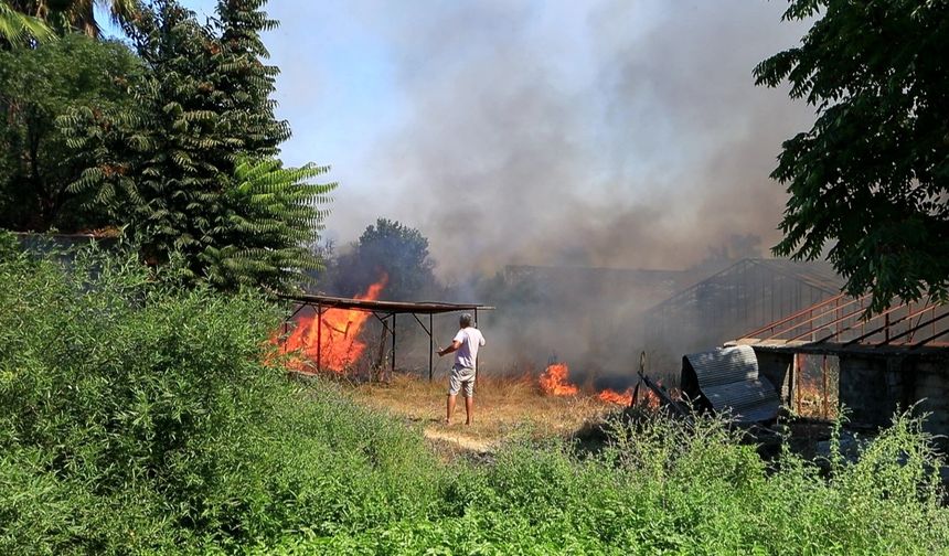 Antalya’da yürek yakan yangın! 9 ay boyunca kaybettiği babasının yadigarı kül oldu