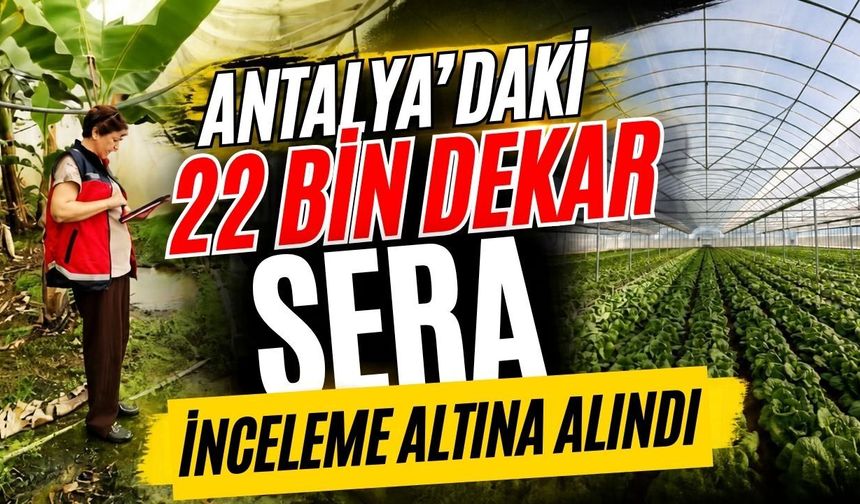 Antalya’daki 22 bin dekar sera inceleme altına alındı