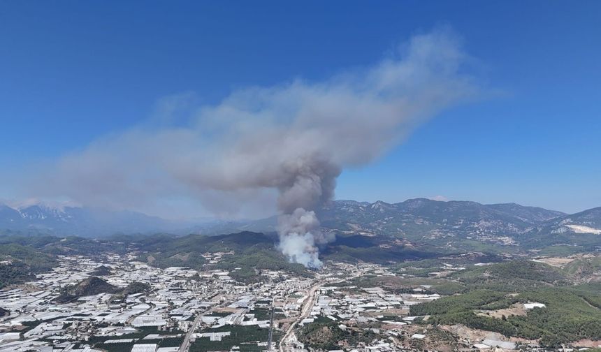 Antalya’daki orman yangını soruşturmasında bir kişi tutuklandı