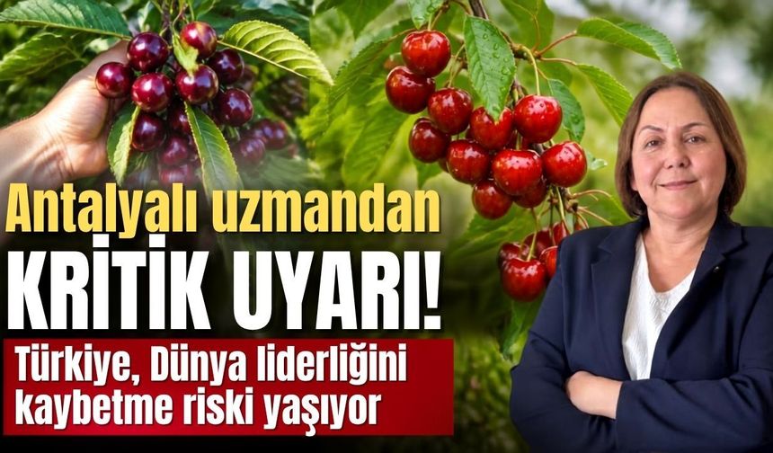 Antalyalı uzmandan kritik uyarı! Türkiye, Dünya liderliğini kaybetme riski yaşıyor