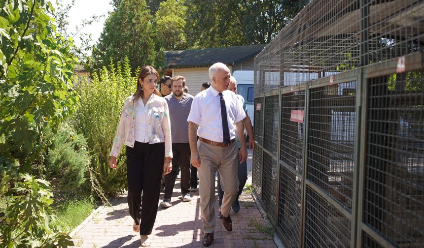 Konyaaltı Kaymakamı Köse’den sokak hayvanları merkezine ziyaret