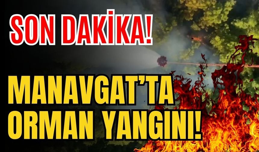 Son dakika! Manavgat’ta orman yangını