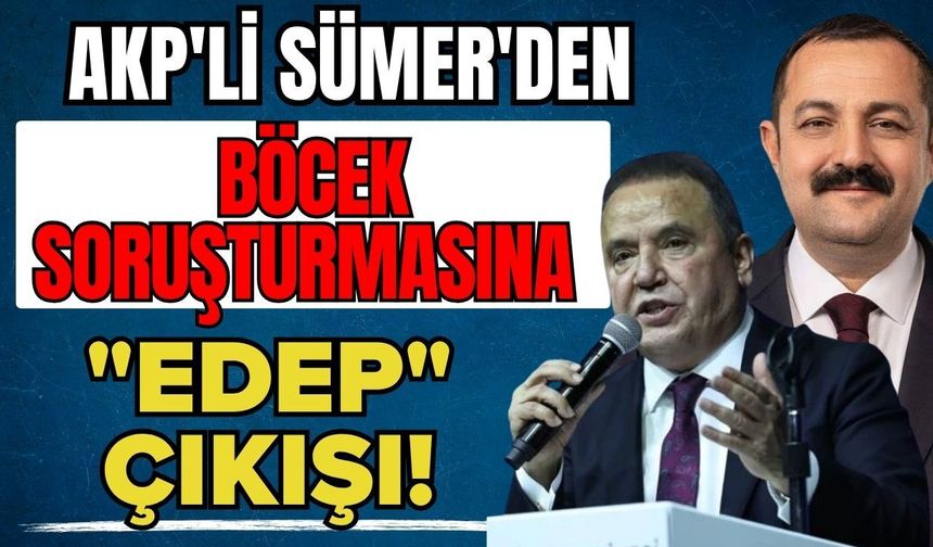 AKP'li Sümer'den Böcek soruşturmasına "Edep" çıkışı!