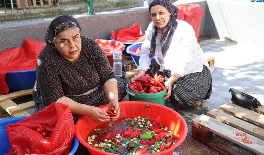 Damlar salça mesaisi ile kırmızıya boyandı
