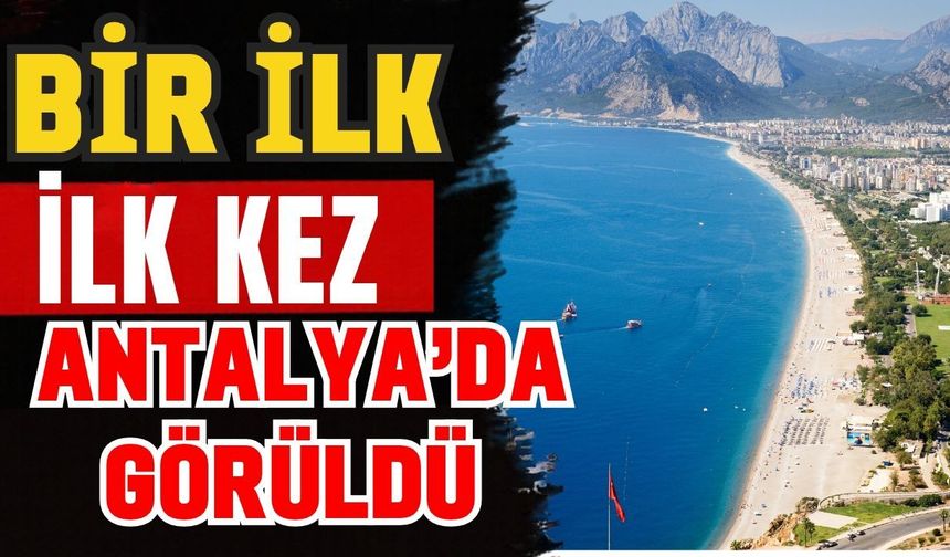 Antalya’da bir ilk: Nadir kuş türü ilk kez Antalya’da görüldü