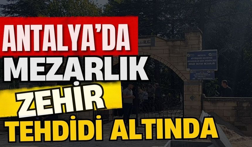 Antalya’da mezarlık zehir tehdidi altında