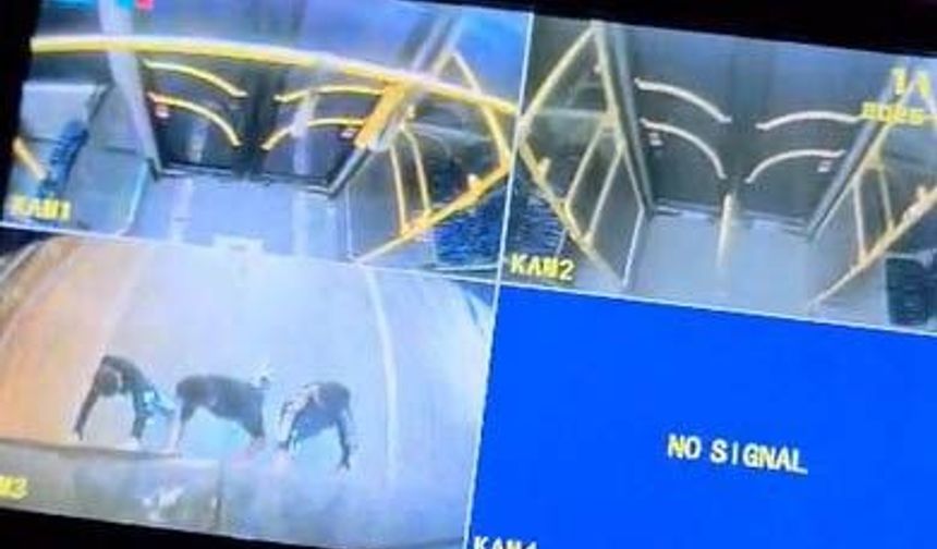 Antalya'da otobüs şoförü fark etti olanları görüntü altına aldı