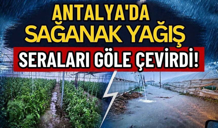 Antalya'da sağanak yağış seraları göle çevirdi!