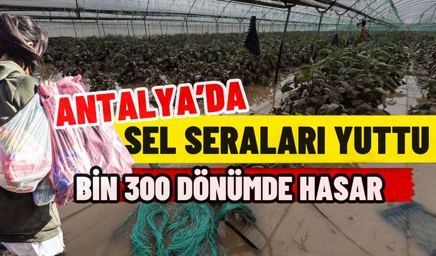 Antalya’da sel seraları yuttu! Bin 300 dönümde hasar