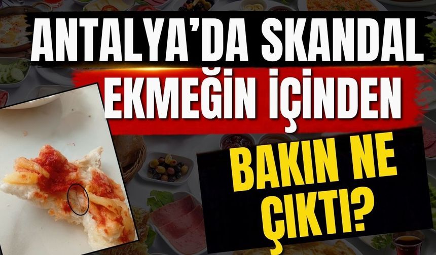Antalya’da skandal! Ekmeğin içinden çatal iğne çıktı