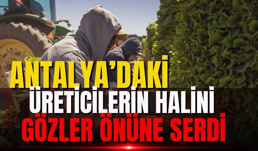 Antalya’daki üreticilerin halini gözler önüne serdi
