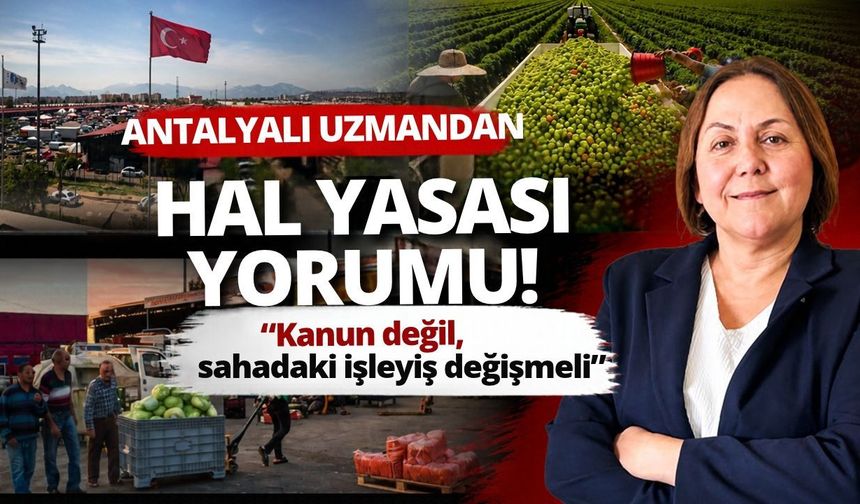 Antalyalı uzmandan Hal Yasası yorumu! Kanun değil, sahadaki işleyiş değişmeli