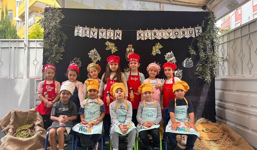 Antalya’nın minikleri zeytinleri topladı