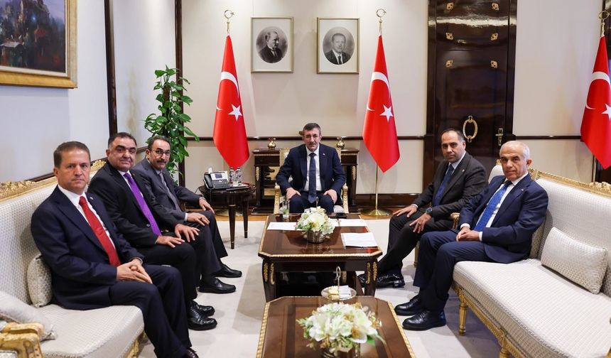 Narenciye sektörünün sorunları Ankara gündemine taşındı