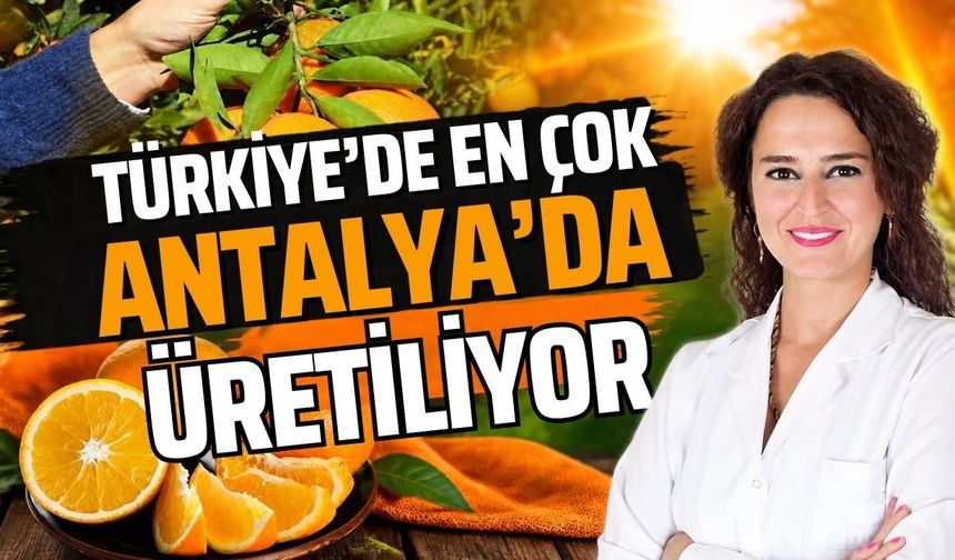 Türkiye’de en çok Antalya’da üretiliyor! Şifa deposu o üründe hasat zamanı