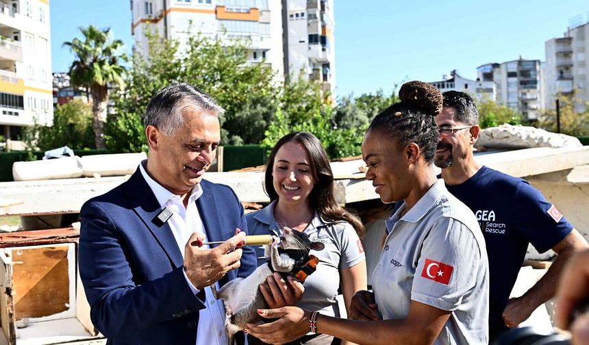 Ümit Uysal fareler projesini incelemeye aldı